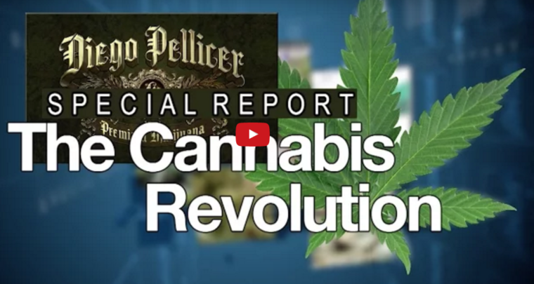 The Cannabis Revoltion Video