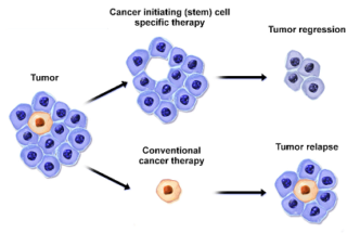 Targeted Cancer Sub 2