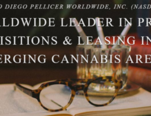 SWI Publishes In-Depth Diego Pellicer Research Report