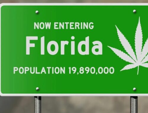 Florida’s Cannabis Legalization Vote Is ‘A Thrilling Prospect,’...