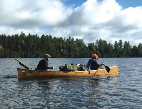 Commentary: Vote yes to support long-term funding for Minnesota’s Environment and Natural Resources Trust Fund