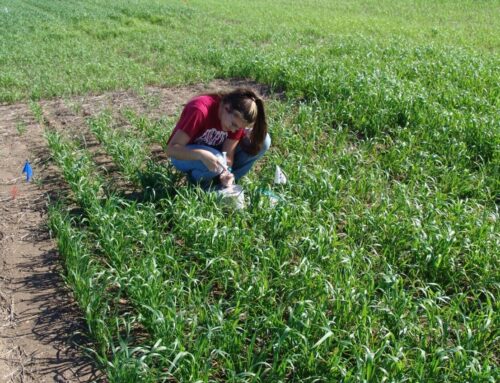 Scientists seek a balance between crop production and protecting the environment