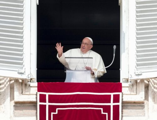 Pope denounces slaying of Honduran environmental defender