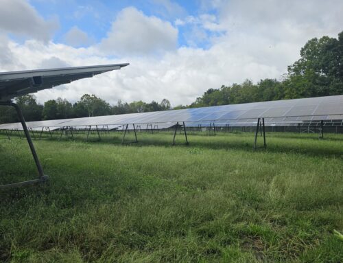 Dominion Energy pairs solar with honey bees to preserve agricultural land