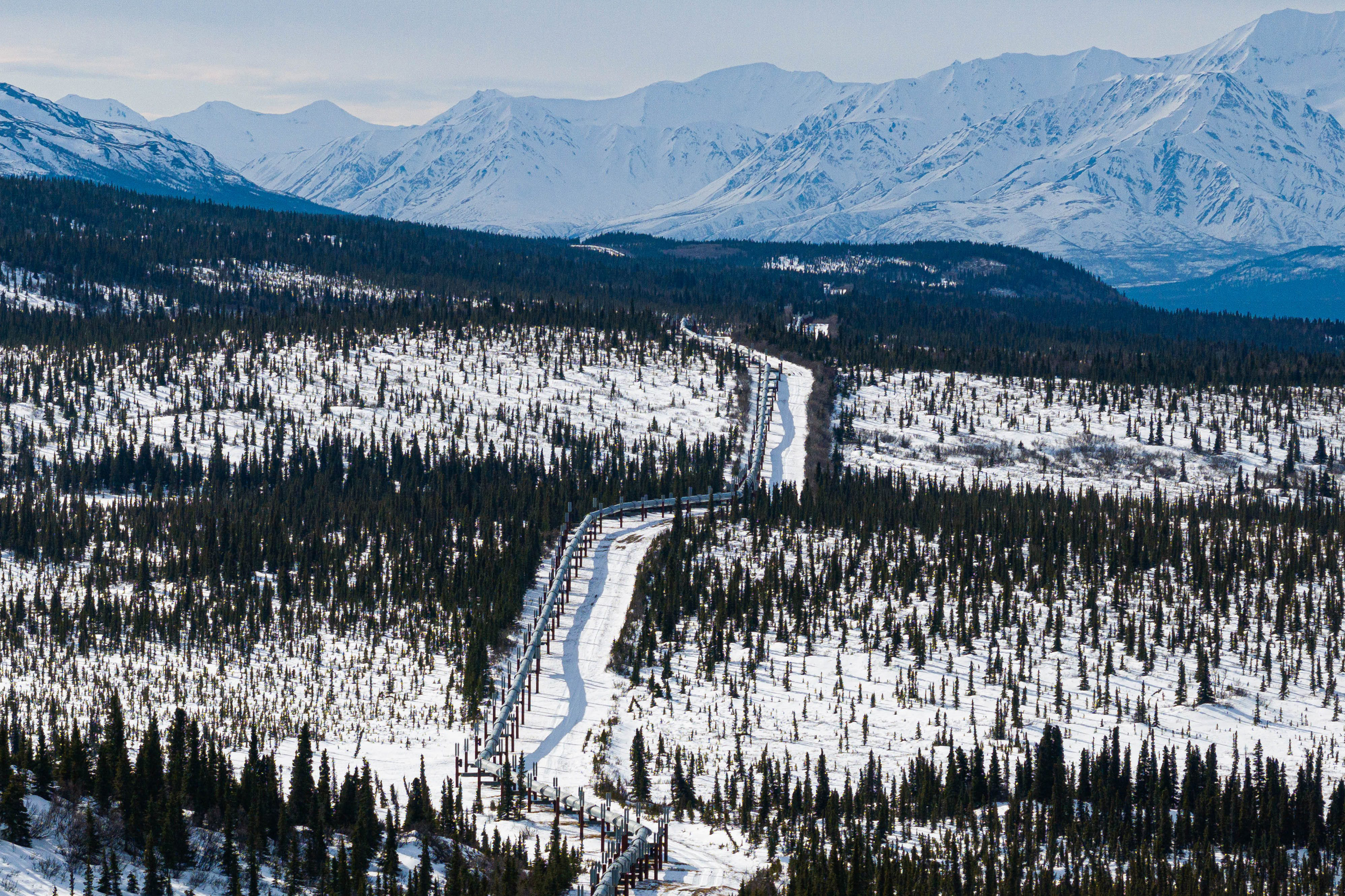 The Trans-Alaska Pipeline winds its way through the forest south of Donnelly Dome on March 24. Alaska's oil production has long been an economic mainstay, generating royalties and tax revenue that fund most of state government. Credit: Loren Holmes/ADN