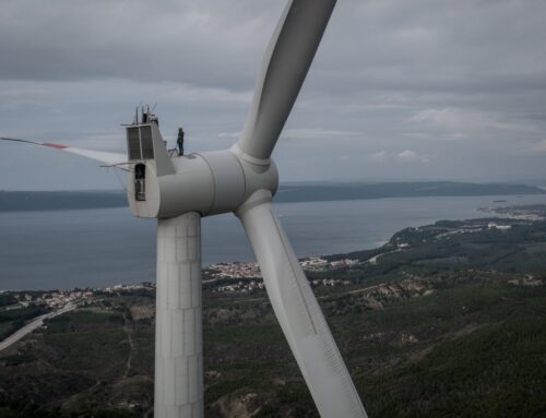 Pathway to sustainable growth for Türkiye, Scandinavia in renewable energy