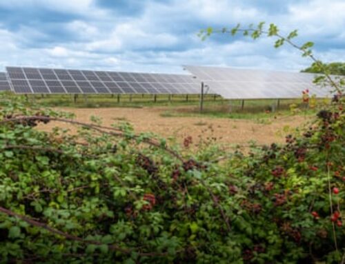 ‘Community action’: Oxfordshire’s Low Carbon Hub on its local renewable energy projects