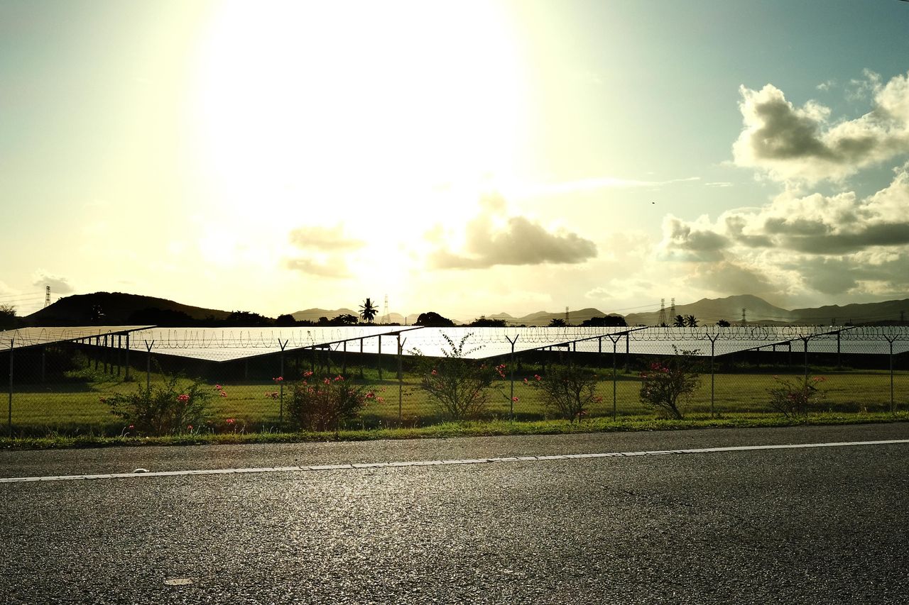 Rows of solar panels from the Ciro One solar farm in Salinas, Puerto Rico.