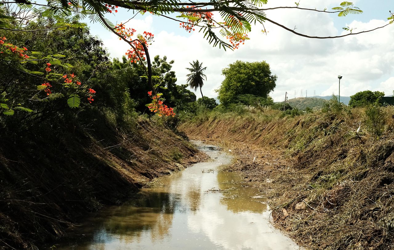 A muddy canal that overfilled with water during the last major hurricane, in what locals here in Salinas, Puerto Rico, believe is a consequence of the recent large-scale solar farms built next door.