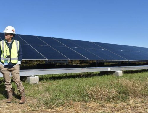 Mon Power brings Rivesville solar energy farm online