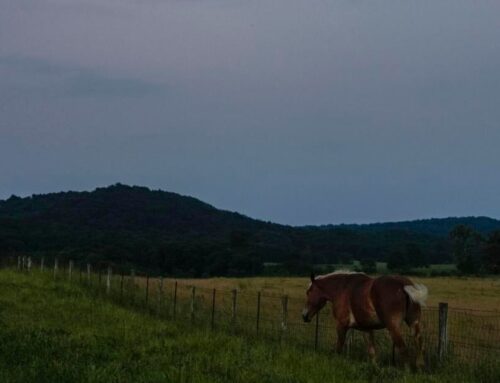 Kentucky rural communities to receive $1.4 billion for clean energy, economic growth