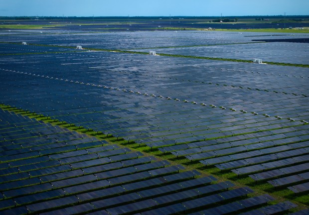 Double Black Diamond Solar near Waverly, south of Springfield, is set to be the largest solar farm east of the Mississippi River, July 31, 2024. (E. Jason Wambsgans/Chicago Tribune)