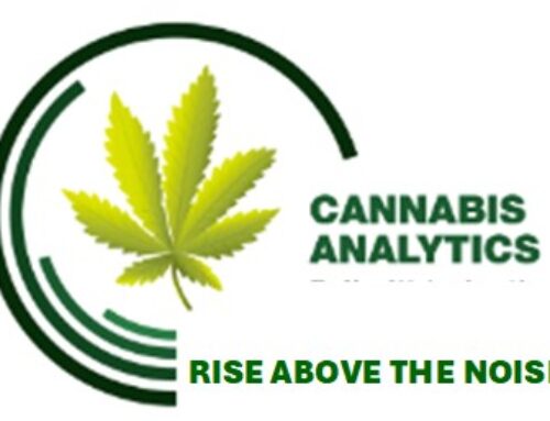 The Dot-Com Crash of the 2000s – The Cannabis Market Crash of 2023