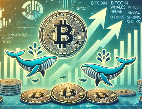 Bitcoin Whales Are Growing As Retail Shrinks – A Sign Of Strength?