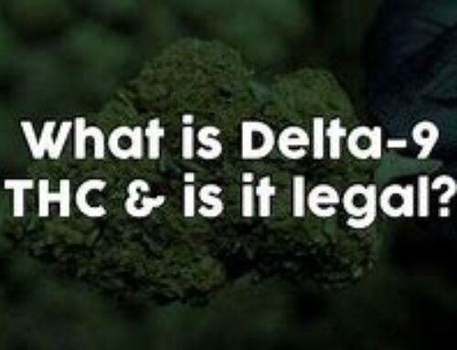 Navigating Change: Delta-9 Hemp-Derived THC Products – Opportunities for Resilient Cannabis Companies