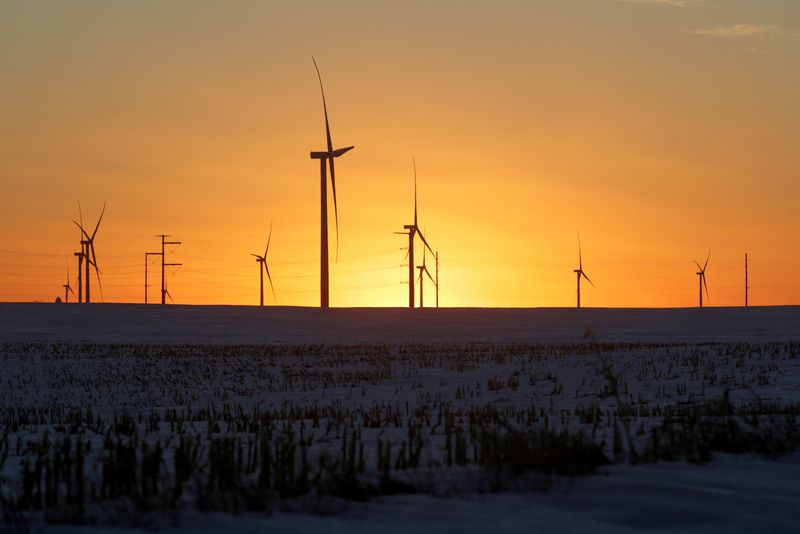 © Reuters. FILE PHOTO: A wind farm shares space with corn fields the day before the Iowa caucuses, where agriculture and clean energy are key issues, in Latimer, Iowa, U.S. February 2, 2020. REUTERS/Jonathan Ernst/File Photo