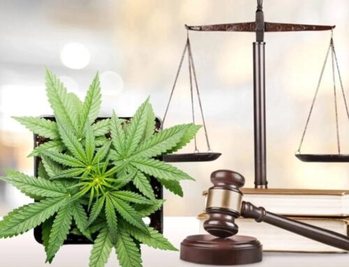 Cheech And Chong Cannabis Company, Hemp Roundtable Petition Court To Stop Gov Newsom’s Controversial Hemp-THC Ban