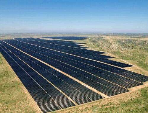 SB Energy inaugurates 900MW Texas PV cluster with Google data centre PPA