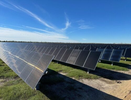 Swift Current Energy brings 138MW PV project to commercial operation