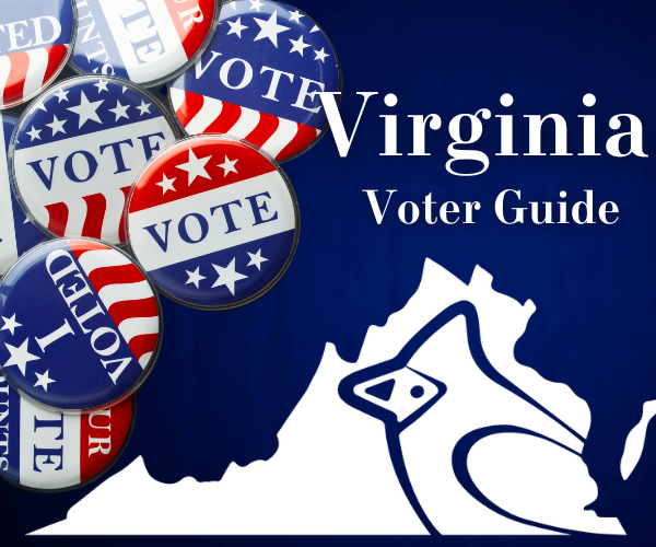 Voter Guide inline image