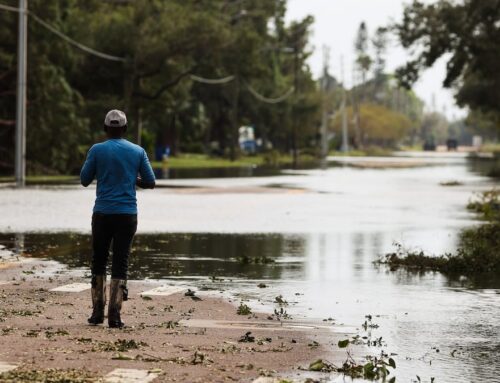 Hurricane Milton was yet another pollution nightmare for Tampa Bay