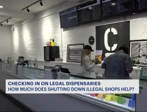 Checking in on legal cannabis dispensaries as city cracks down on illegal shops