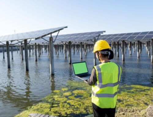 Green jobs: Global renewable energy workforce surges to a record 16.2 million