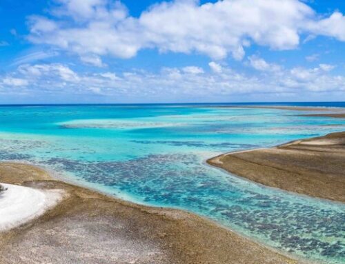 Environmental protections account for around 10% of fish stocks on coral reefs, global study finds