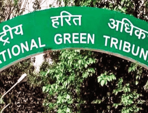 To uphold right to clean environment NGT’s mission: Tribunal chief