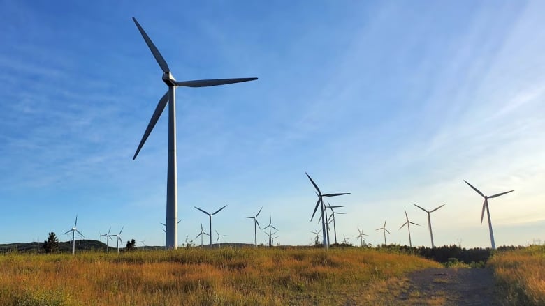 wind turbines