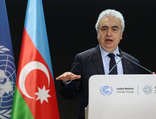 IEA chief Birol hails Türkiye as global renewables pioneer