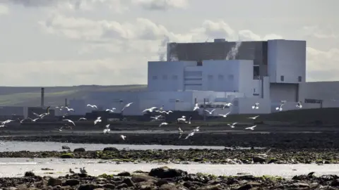 PA Media Torness power station, a large grey rectangular building on the shore with birds flying in the foreground