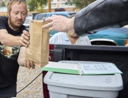 ‘Green Friday in Dixon’: Cannabis farmer holds giveaway in protest of ‘big pot’