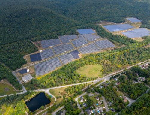 The solar farm next door