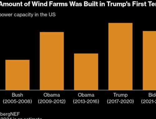 Green Energy Stocks Sink With Trump Poised to Win US Election