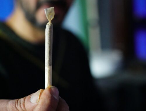 Study finds cannabis-users would reduce use the most for job interviews, caring for children