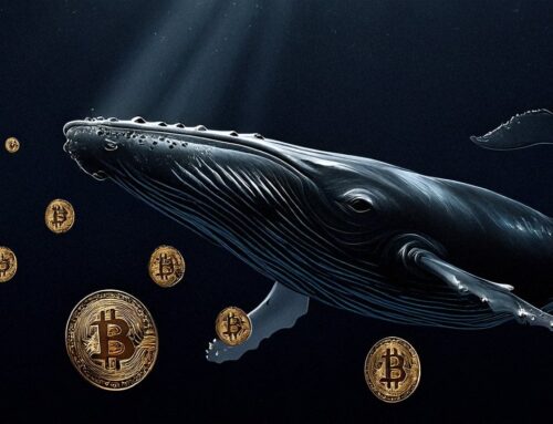 Dormant No More: 2012 Bitcoin Wallet Moves $35.7M, Linked to Last Month’s Whale Transfers