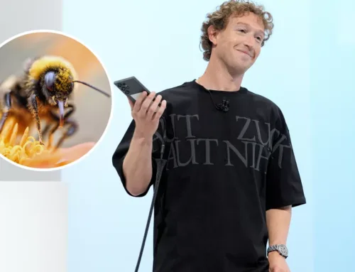 Mark Zuckerberg’s nuclear-powered AI plans thwarted by bees