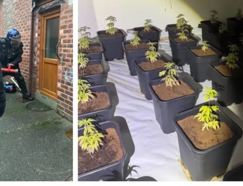 Police smash down door in dramatic cannabis farm raid