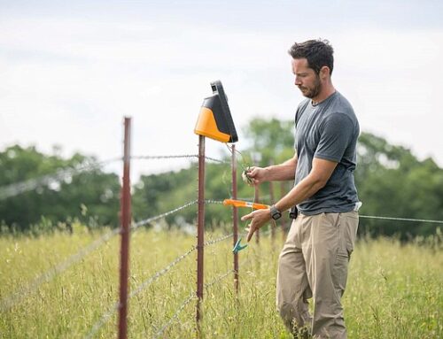 Tennessee farmers turn to regenerative agriculture techniques to restore soil, environment | Chattanooga Times Free Press