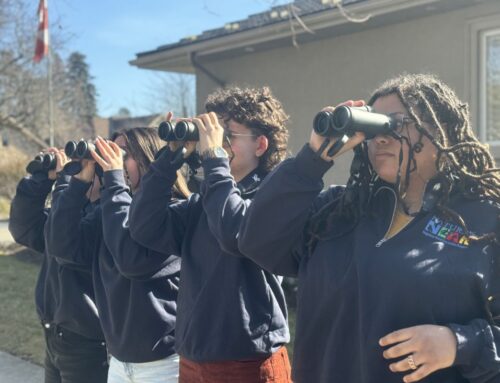 FAVOURITE STORIES OF 2024: Nature’s NEAR shows HDSB students the environment right in their own playground