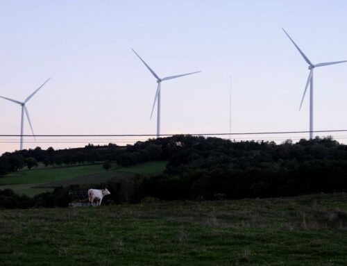 Renewable energy produced record 56% of Spain’s electricity in 2024