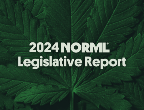 A Look at This Year’s Progress in the Marijuana Movement