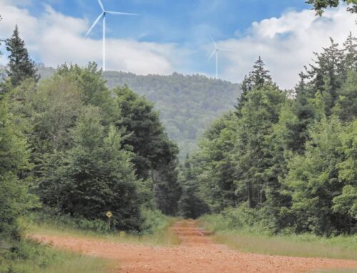 J.D. Irving given green light on Brighton Mountain wind farm project