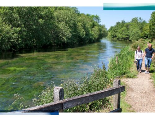 Labour shelves rescue plan for globally rare chalk streams