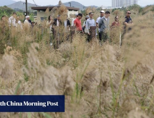 Hong Kong’s Long Valley Nature Park opens to public after habitat restoration