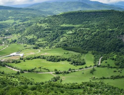 OSCE supports co-operation between Georgia and Armenia on Climate Change and Landscape Fire Management