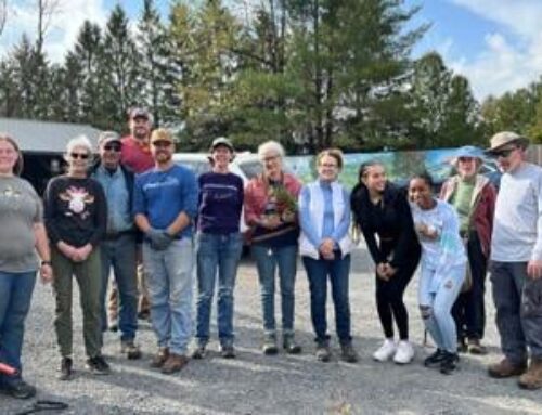 Volunteers restoring wooded areas in Rappahannock County Park