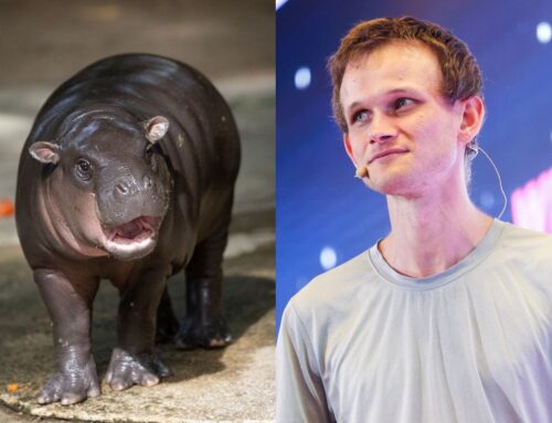 Moo Deng just got an adoptive father — Ethereum cofounder Vitalik Buterin