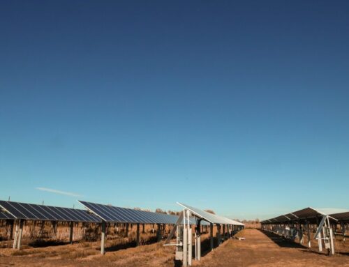 In Colorado, a marriage of solar energy and farming provides a model for a more sustainable future